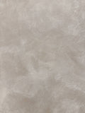 #10 Ash Beige – Limewash Pro