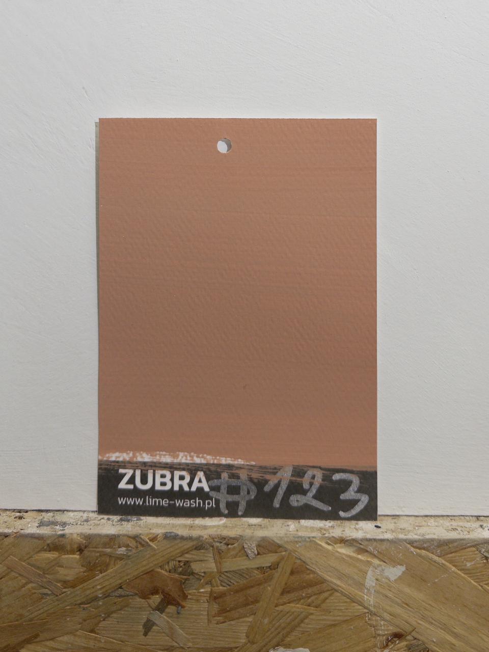 #123 Warm Coral – Farba Limewash | ZUBRA COLORS