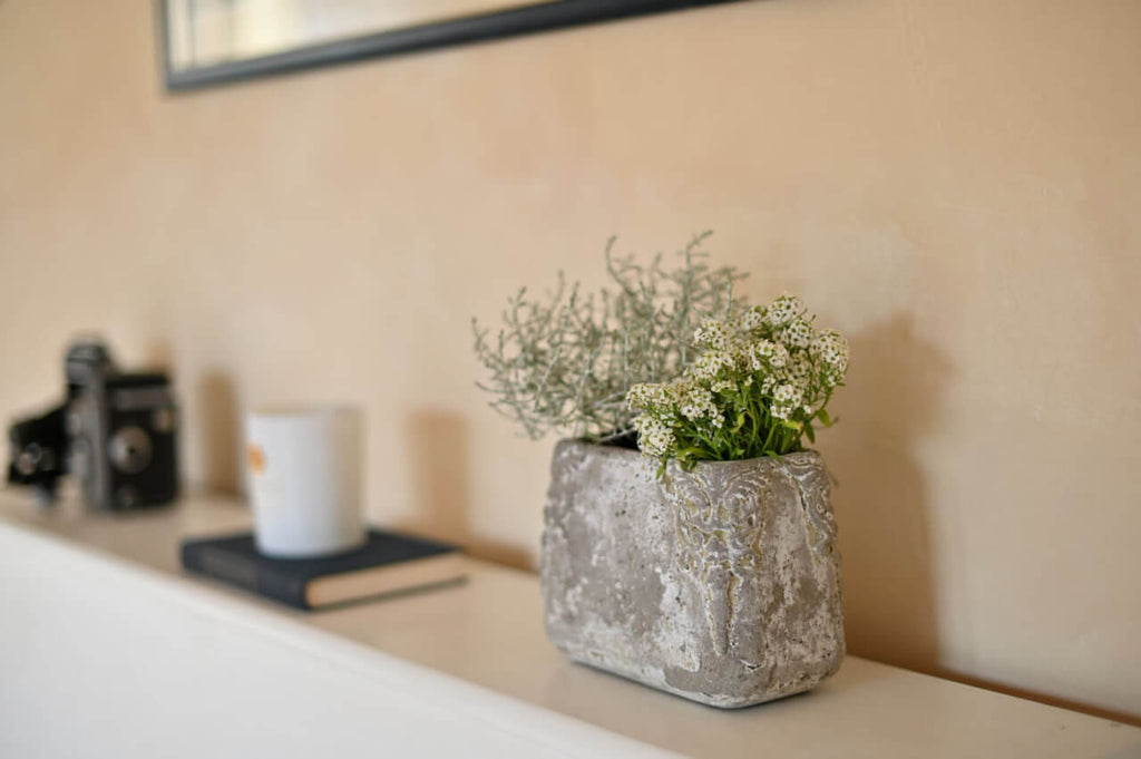 #124 Warm Nougat – Farba Limewash | ZUBRA COLORS