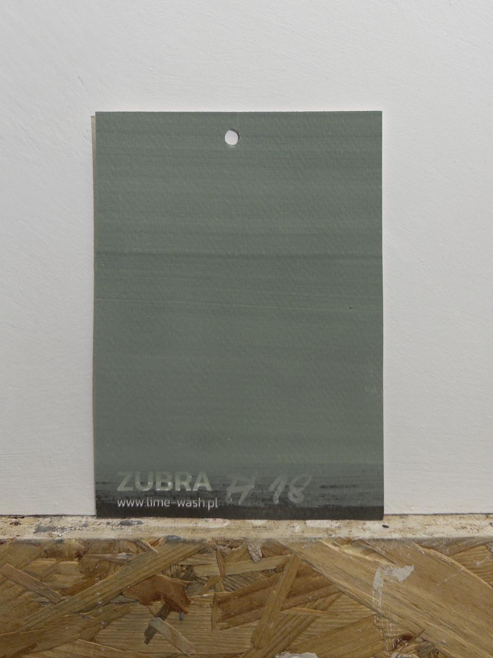 #18 Olive Shadow – Farba Limewash | ZUBRA COLORS
