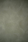 #18 Warm Sage – Limewash Pro