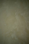 #19 Olive Beige – Limewash Pro