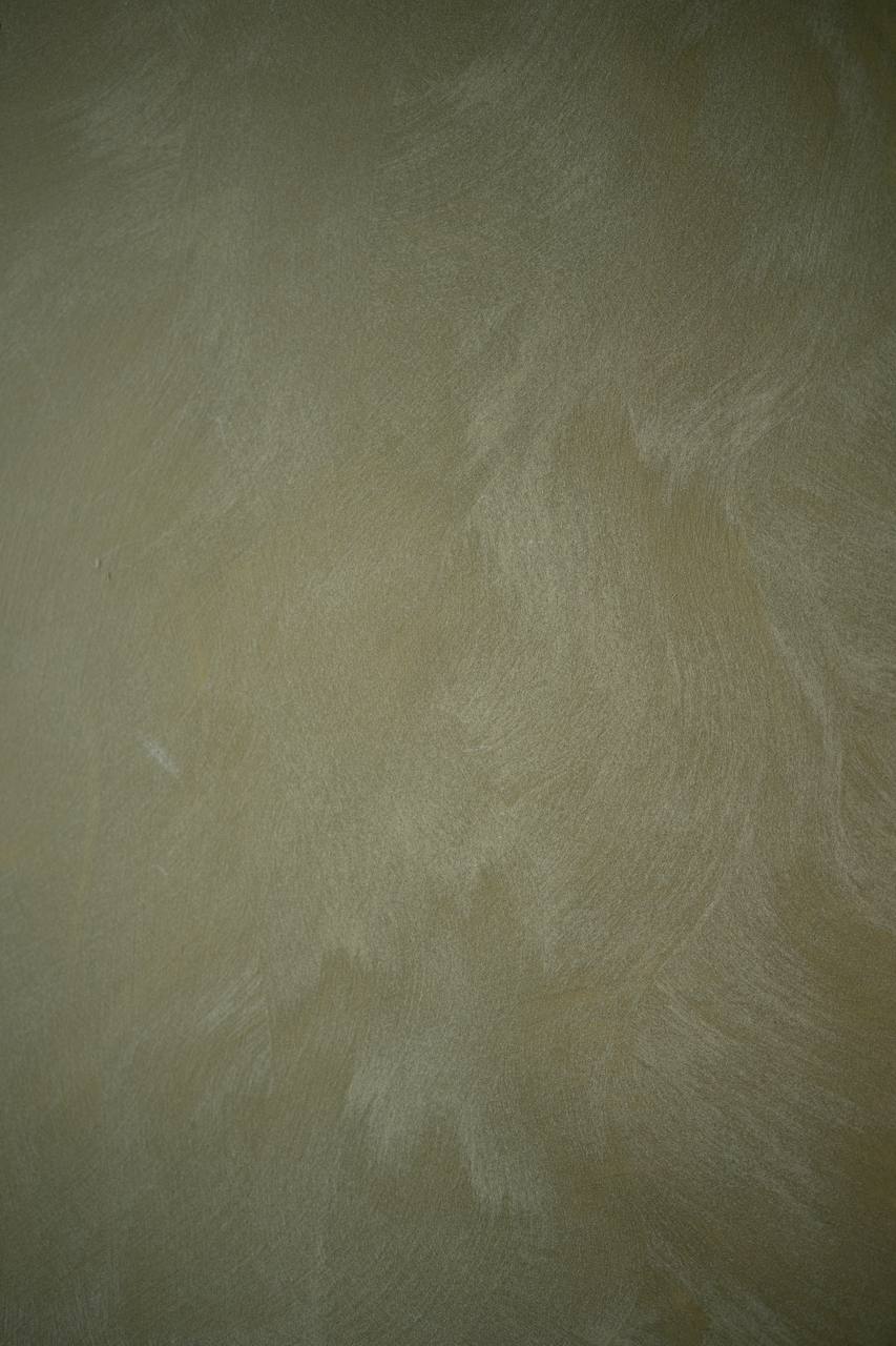 #19 Olive Beige – Limewash Pro