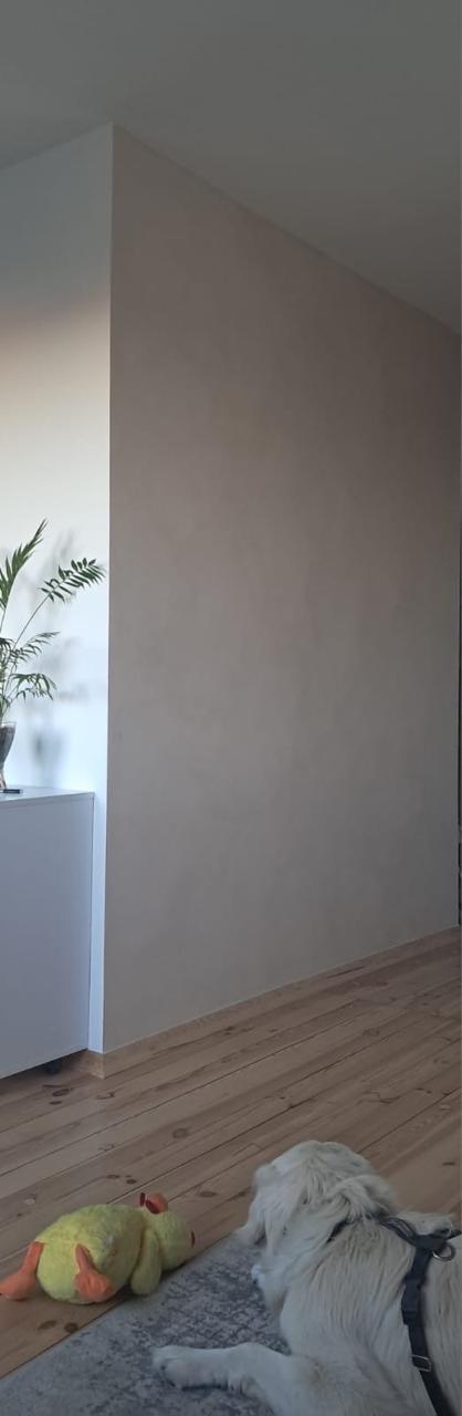 #3 Almond Cream – Farba Limewash | ZUBRA COLORS