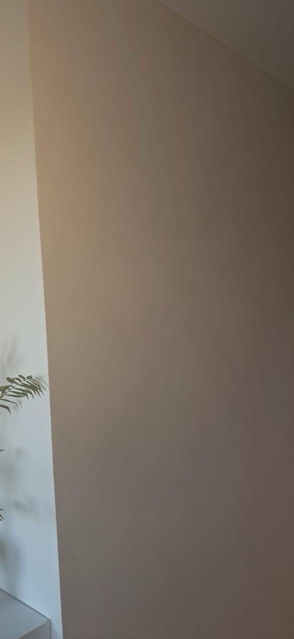 #3 Almond Cream – Farba Limewash | ZUBRA COLORS