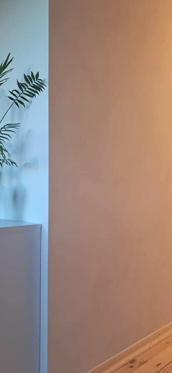 #3 Almond Cream – Farba Limewash | ZUBRA COLORS