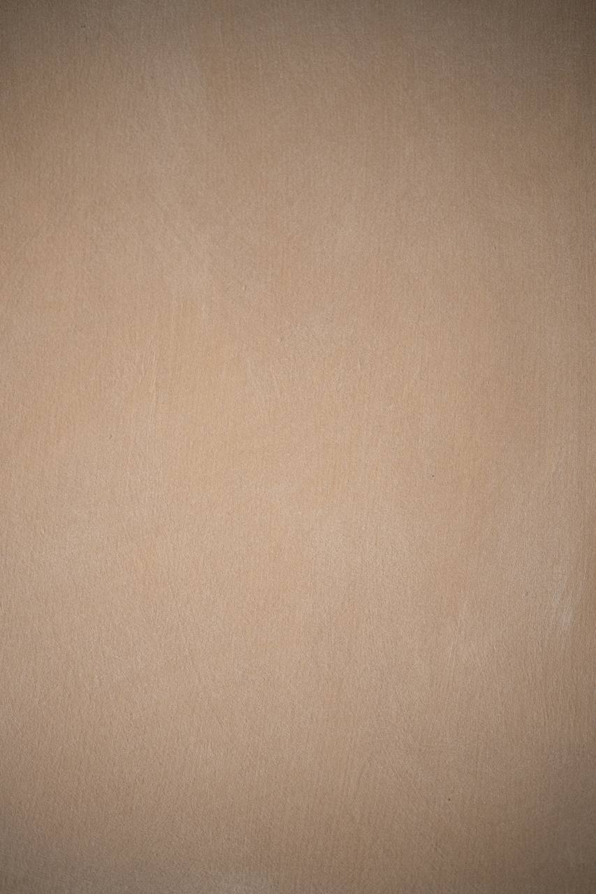 #4 Nude Clay – Limewash Pro